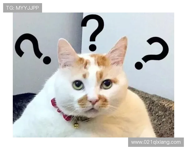 早报:来晚了的和走早了的都懵圈了 早报:来晚了的和走早了的都懵圈了